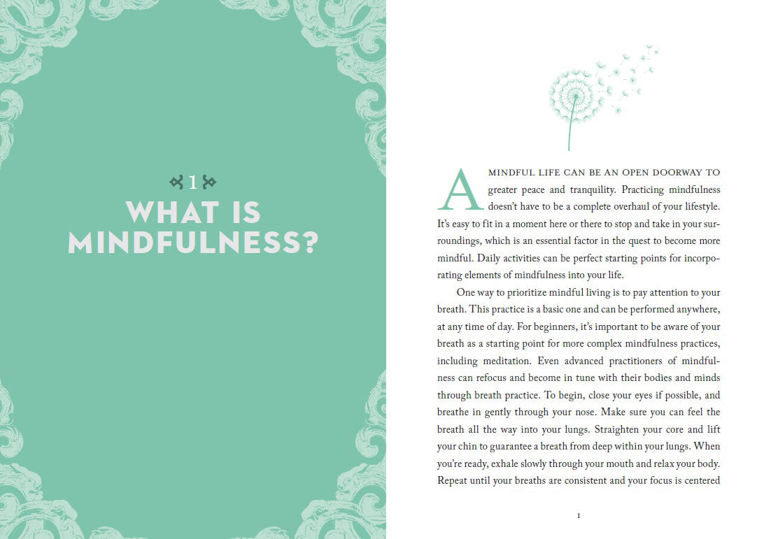 Little Bit of Mindfulness